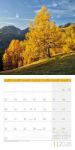 Bild von Bäume Kalender 2026 - 30x30