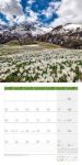 Bild von Alpen Kalender 2026 - 30x30