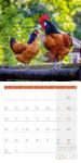 Bild von Landleben Kalender 2026 - 30x30