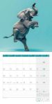 Bild von Dancing Animals Kalender 2026 - 30x30