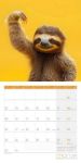 Bild von Dancing Animals Kalender 2026 - 30x30