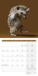 Bild von Dancing Animals Kalender 2026 - 30x30
