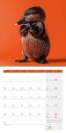 Bild von Dancing Animals Kalender 2026 - 30x30