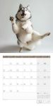 Bild von Dancing Animals Kalender 2026 - 30x30