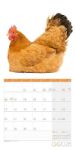 Bild von Verrückte Hühner Kalender 2026 - 30x30