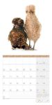 Bild von Verrückte Hühner Kalender 2026 - 30x30