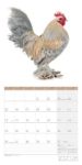 Bild von Verrückte Hühner Kalender 2026 - 30x30