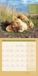 Bild von Keep Smiling! Kalender 2026 - 30x30