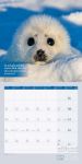 Bild von Keep Smiling! Kalender 2026 - 30x30