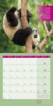 Bild von Keep Smiling! Kalender 2026 - 30x30