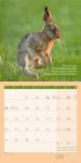 Bild von Keep Smiling! Kalender 2026 - 30x30