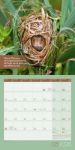 Bild von Keep Smiling! Kalender 2026 - 30x30