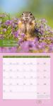 Bild von Keep Smiling! Kalender 2026 - 30x30