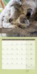 Bild von Keep Smiling! Kalender 2026 - 30x30
