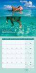 Bild von Keep Smiling! Kalender 2026 - 30x30