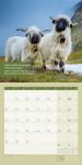 Bild von Keep Smiling! Kalender 2026 - 30x30