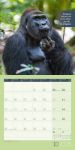 Bild von Keep Smiling! Kalender 2026 - 30x30