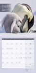 Bild von Keep Smiling! Kalender 2026 - 30x30