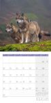 Bild von Wölfe Kalender 2026 - 30x30