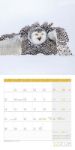 Bild von Eulen Kalender 2026 - 30x30