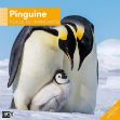 Bild von Pinguine Kalender 2026 - 30x30