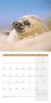 Bild von Heimische Wildtiere Kalender 2026 - 30x30
