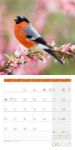 Bild von Heimische Wildtiere Kalender 2026 - 30x30