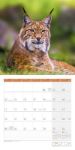 Bild von Heimische Wildtiere Kalender 2026 - 30x30