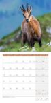 Bild von Heimische Wildtiere Kalender 2026 - 30x30