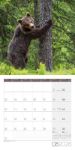 Bild von Heimische Wildtiere Kalender 2026 - 30x30