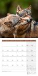Bild von Heimische Wildtiere Kalender 2026 - 30x30