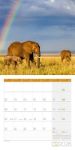 Bild von Elefanten Kalender 2026 - 30x30