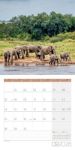 Bild von Elefanten Kalender 2026 - 30x30