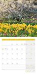Bild von In meinem Garten Kalender 2026 - 30x30