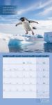 Bild von Alles wird gut! Kalender 2026 - 30x30