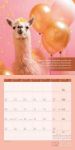 Bild von Alles wird gut! Kalender 2026 - 30x30