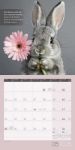 Bild von Alles wird gut! Kalender 2026 - 30x30