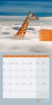 Bild von Alles wird gut! Kalender 2026 - 30x30