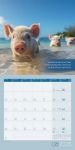 Bild von Alles wird gut! Kalender 2026 - 30x30
