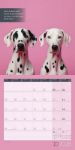 Bild von Alles wird gut! Kalender 2026 - 30x30