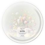 Bild von Maggie Taylor The occasion Tray Ø 31 - Jamida of Sweden