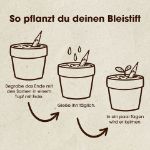 Bild von Set aus 5 pflanzbaren Bleistiften