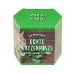 Zeige Details für Anzuchtset Echte Katzenminze Bild von Anzuchtset Echte Katzenminze