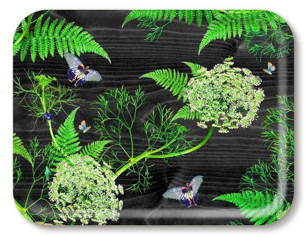 Bild von Michael Angove Back Dill Tray 43x33 - Jamida of Sweden
