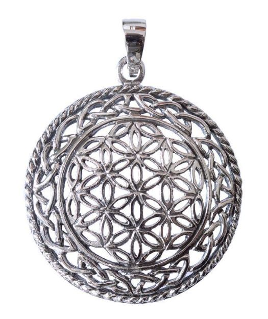 Bild von Anhänger Blume des Lebens mit Endlosknoten Bronze versilbert 8,2g 3,5cm