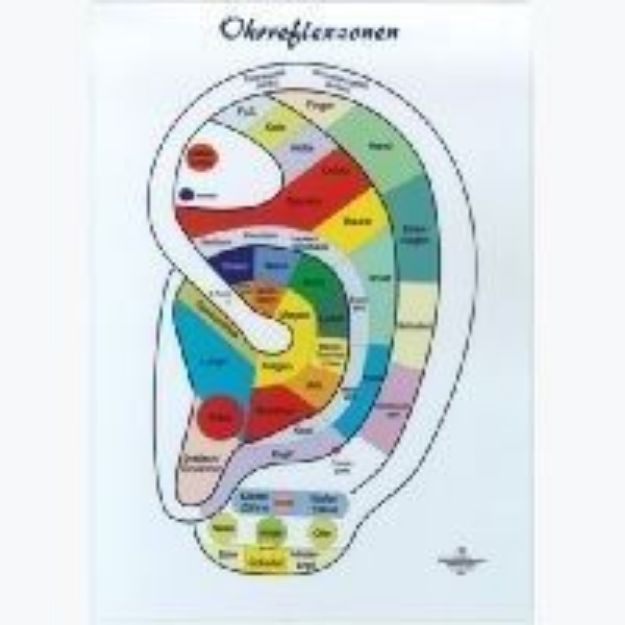 Bild von Reflexzonenübersicht - Ohr A5