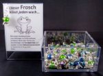 Bild von Frösche versch. Farben, VE-50