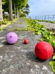 Bild von La Mariole - Boules de Pétanque - Felicie 