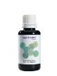 Bild von Kombi-Essenz 19 Mykael, 30 ml