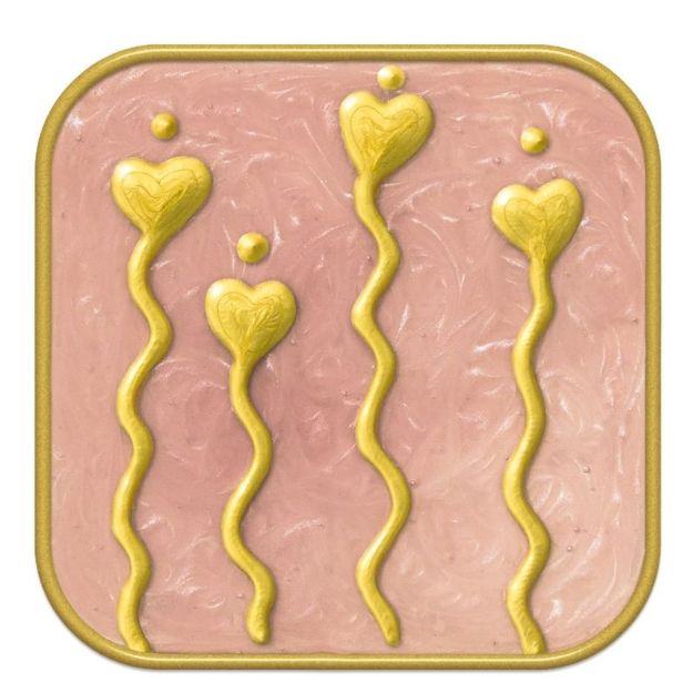 Bild von Schutzpatron-Symbol Germaine